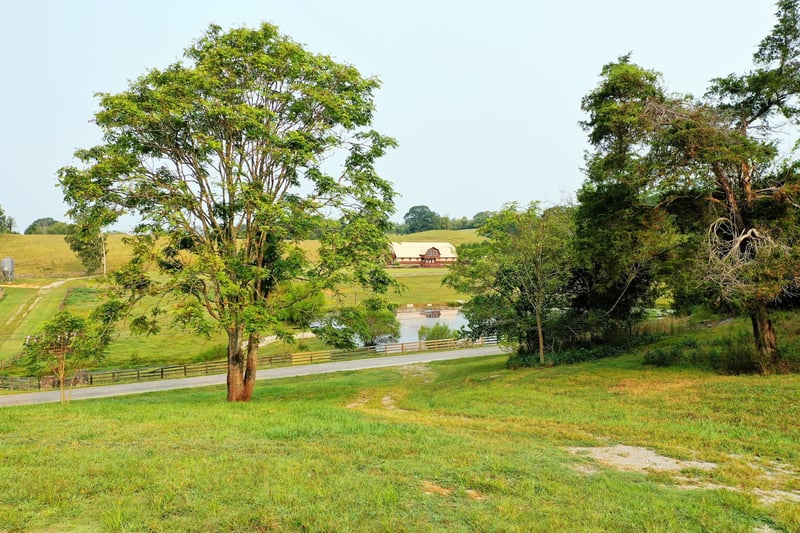 2523 Baptist Church Rd, Culleoka, TN 38451