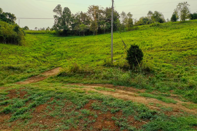 2523 Baptist Church Rd, Culleoka, TN 38451