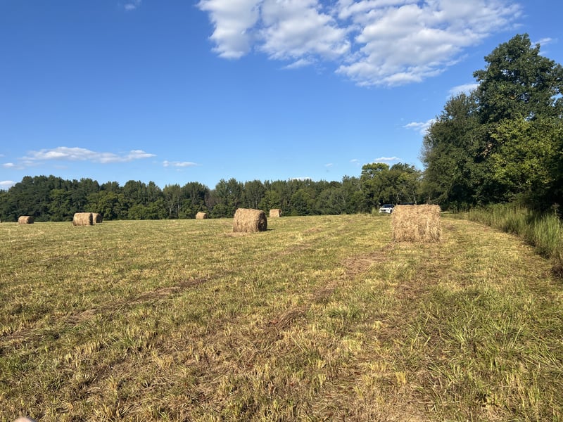 0 Eudailey Covington Rd, College Grove, TN 37046