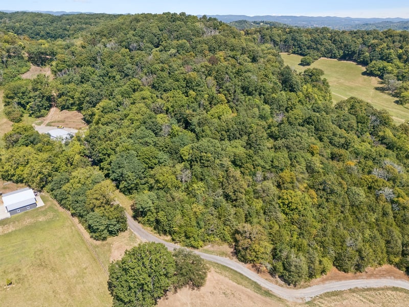 4828 Harpeth Peytonsville Rd, Thompsons Station, TN 37179