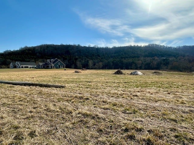 Highway 96 East, Auburntown, TN 37016