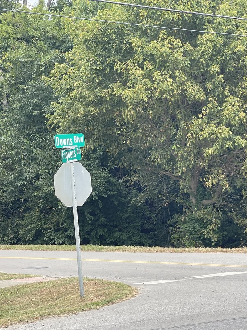 390 Downs Blvd, Franklin, TN 37064