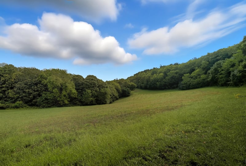 1907 Burke Hollow Rd, Nolensville, TN 37135