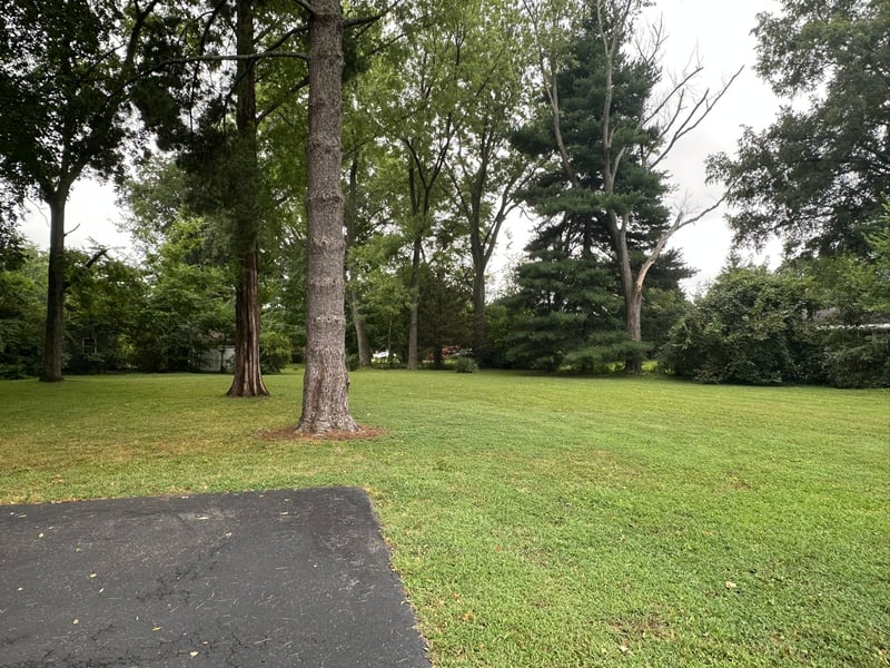 313 Tyne Ave, Murfreesboro, TN 37130