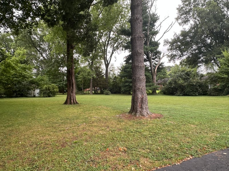 313 Tyne Ave, Murfreesboro, TN 37130