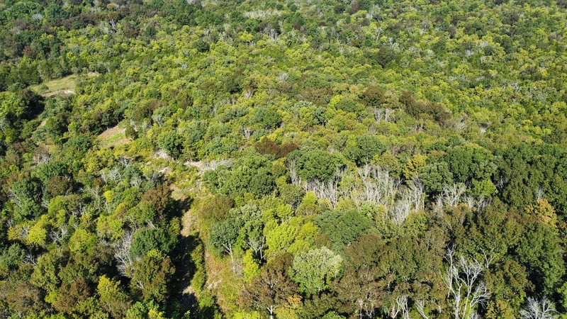 1320 Mcelroy Rd, Readyville, TN 37149