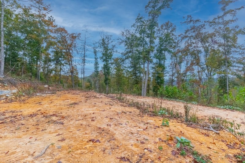 Ross Hollow Rd, Ashland City, TN 37015