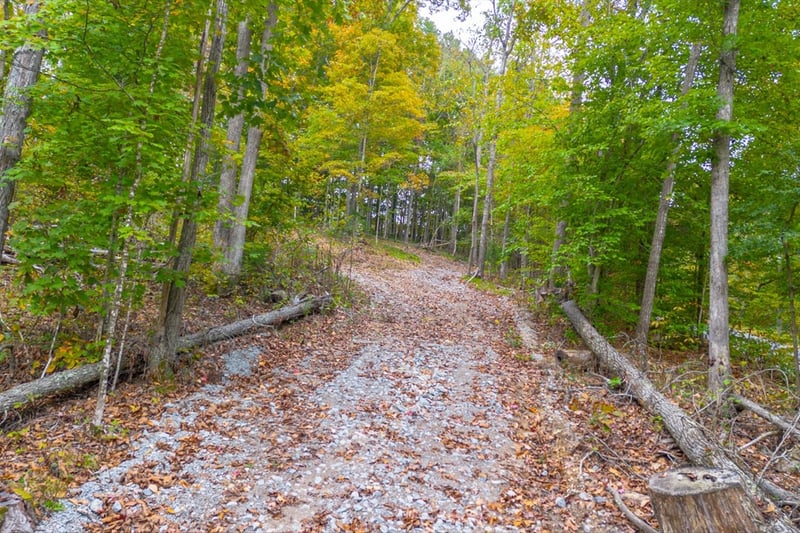 Ross Hollow Rd, Ashland City, TN 37015