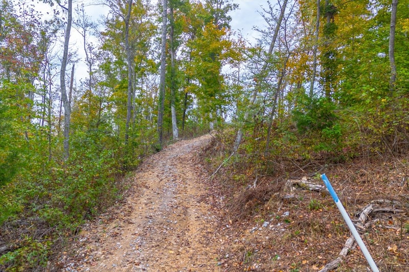 Ross Hollow Rd, Ashland City, TN 37015