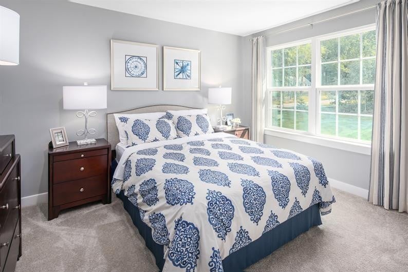 3213 Paddock Pk, Pleasant View, TN 37146