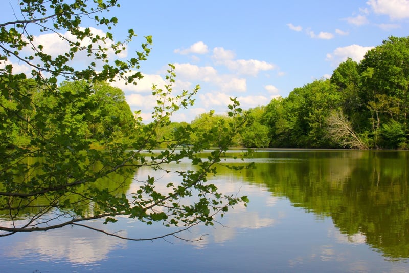 146 Angels Cove Ln, Lebanon, TN 37087