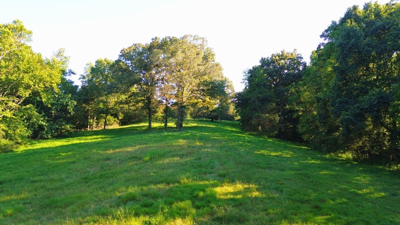 620 Piney Rd, Dickson, TN 37055