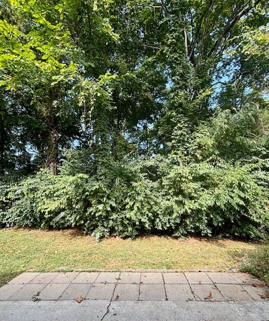 1101 Downs Blvd #B101, Franklin, TN 37064