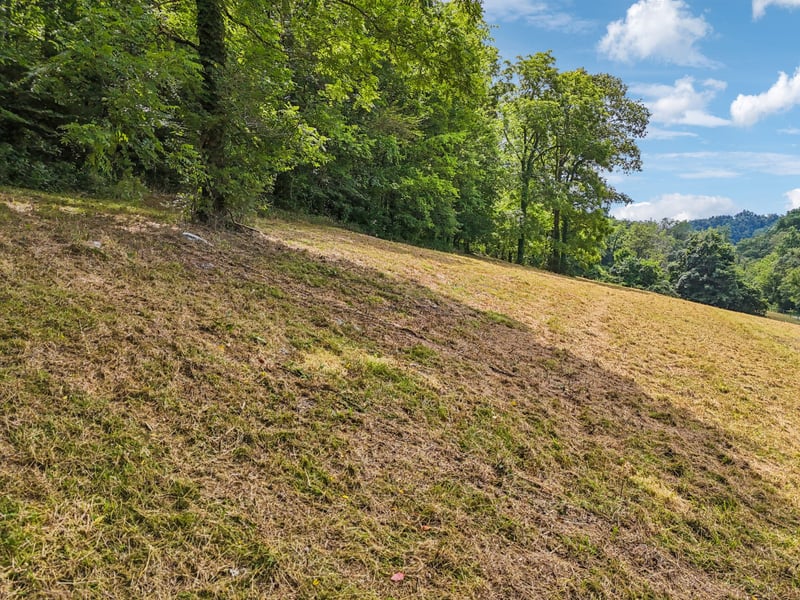 10A Puncheon Camp Ln, Bell Buckle, TN 37020