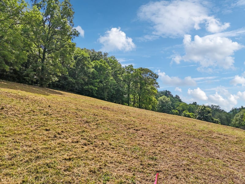 10A Puncheon Camp Ln, Bell Buckle, TN 37020