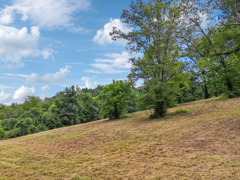 10B Puncheon Camp Ln, Bell Buckle, TN 37020