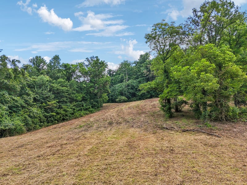 10B Puncheon Camp Ln, Bell Buckle, TN 37020