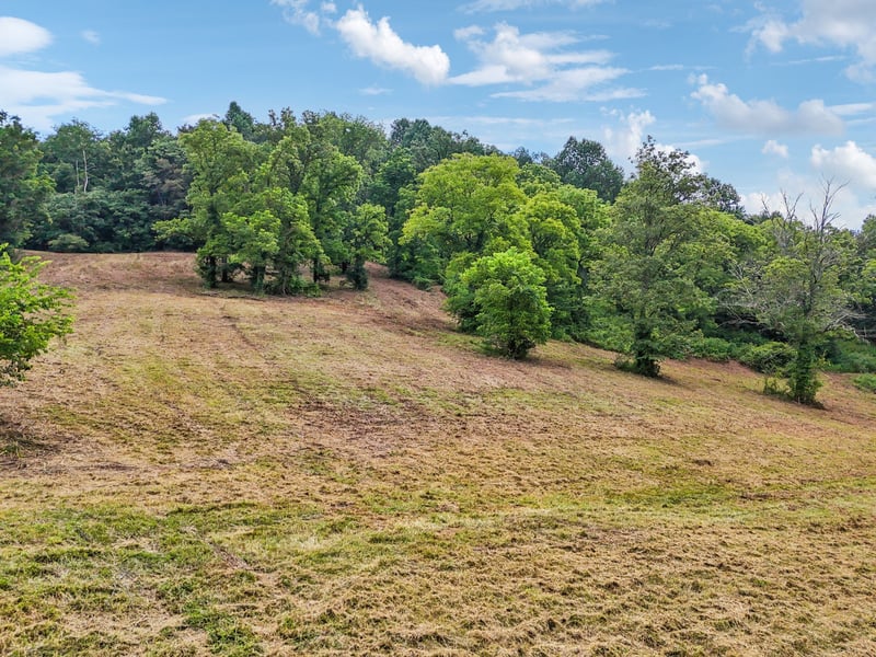 10B Puncheon Camp Ln, Bell Buckle, TN 37020