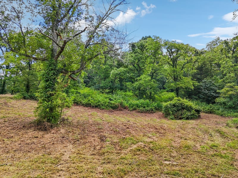 10B Puncheon Camp Ln, Bell Buckle, TN 37020