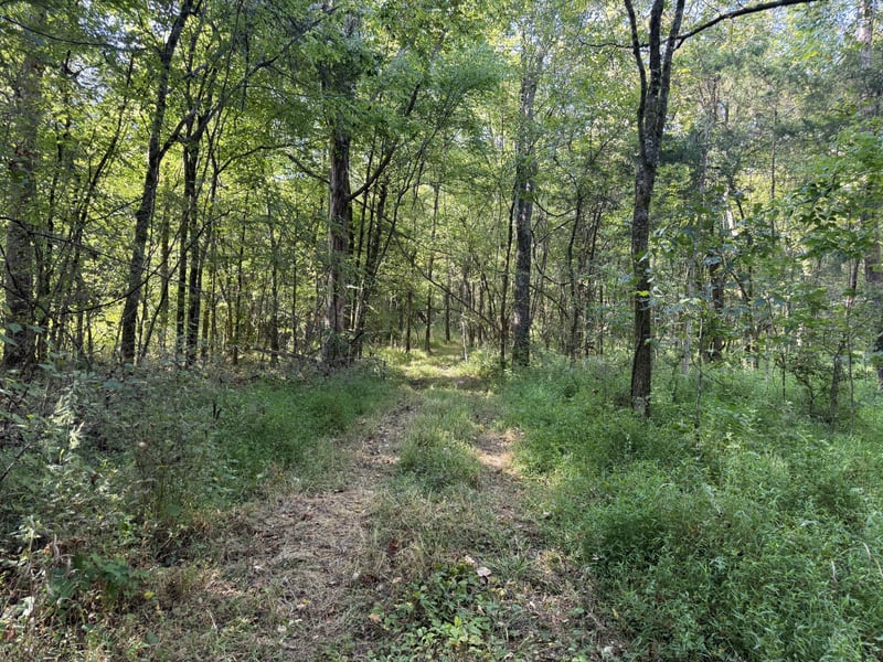 0 Gwin Pl, Mount Juliet, TN 37122