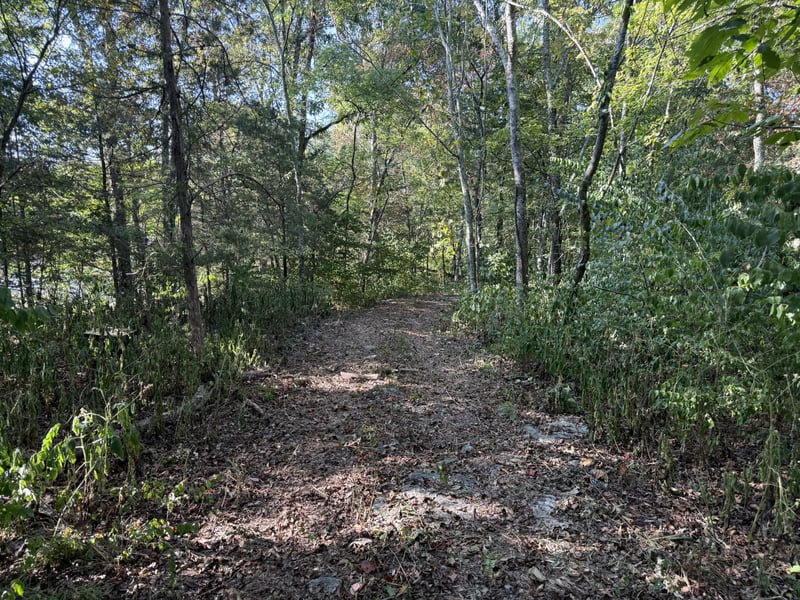 0 Gwin Pl, Mount Juliet, TN 37122