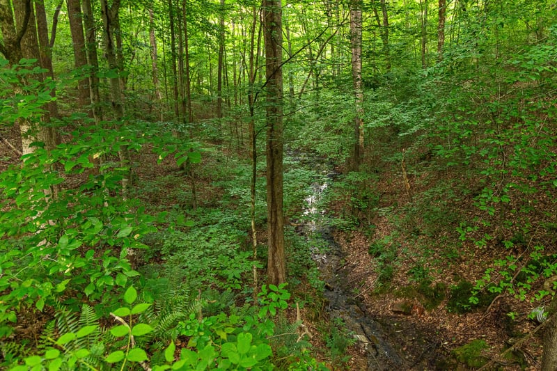5609 Wilkins Branch Rd, Franklin, TN 37064