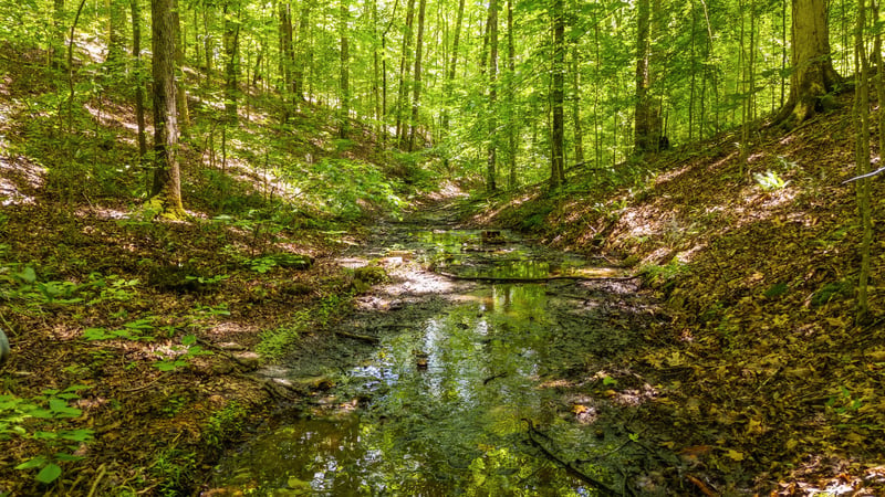 5609 Wilkins Branch Rd, Franklin, TN 37064