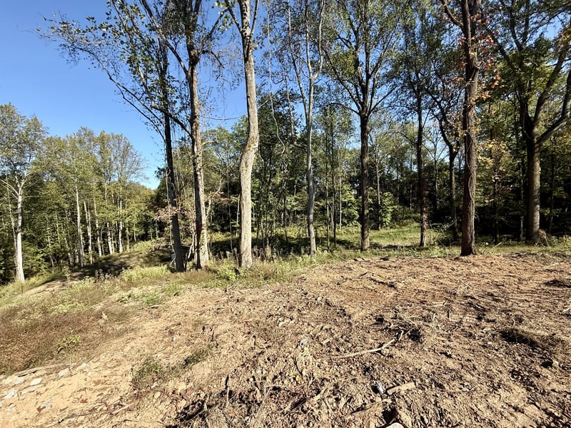 5500 Jenbreck Ln, Arrington, TN 37014