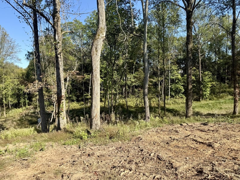 5500 Jenbreck Ln, Arrington, TN 37014