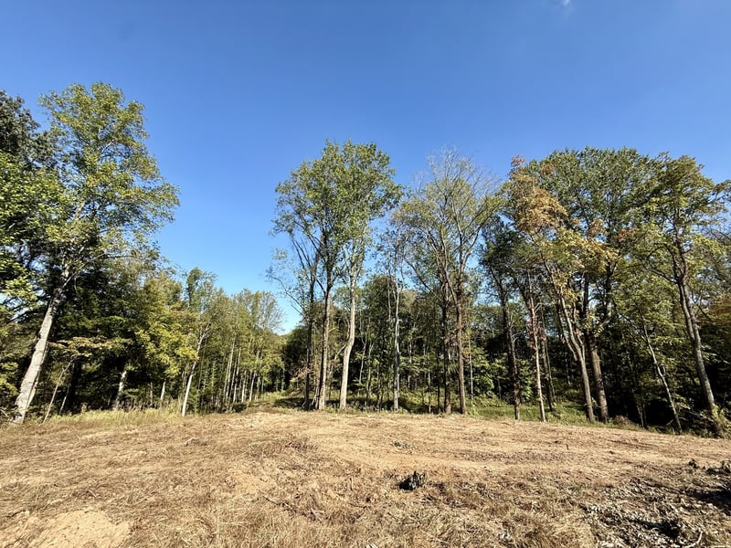 5500 Jenbreck Ln, Arrington, TN 37014