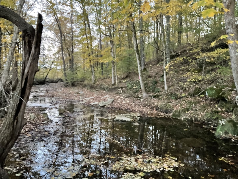 4 Indian Creek Rd, Cumberland Furnace, TN 37051