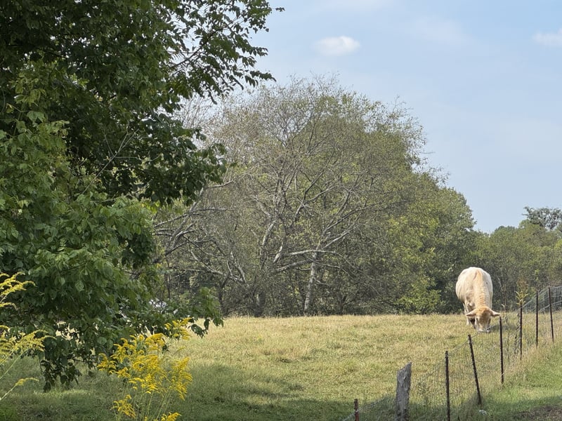 4 Indian Creek Rd, Cumberland Furnace, TN 37051