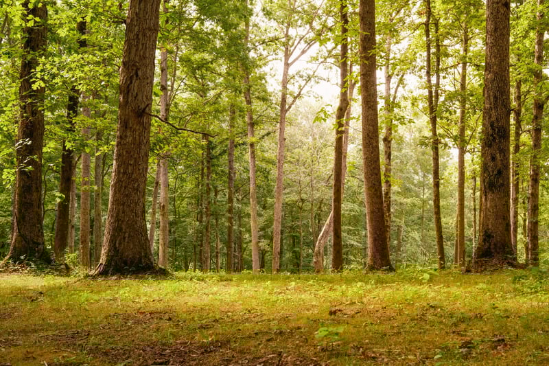 1 Peach Hollow Rd, Franklin, TN 37064