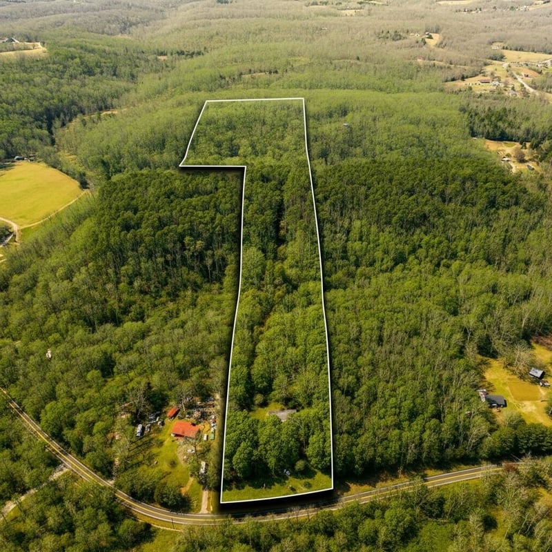 7822 Barnhill Rd, Primm Springs, TN 38476