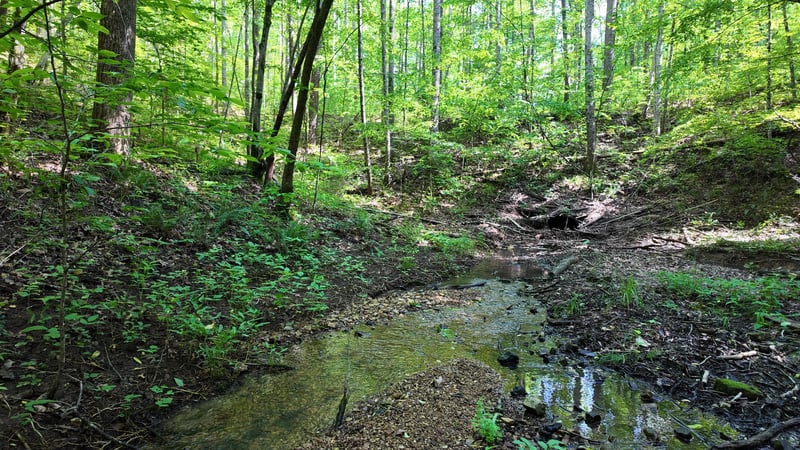 7822 Barnhill Rd, Primm Springs, TN 38476