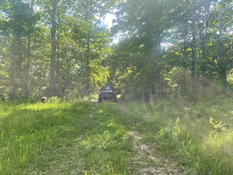 7822 Barnhill Rd, Primm Springs, TN 38476