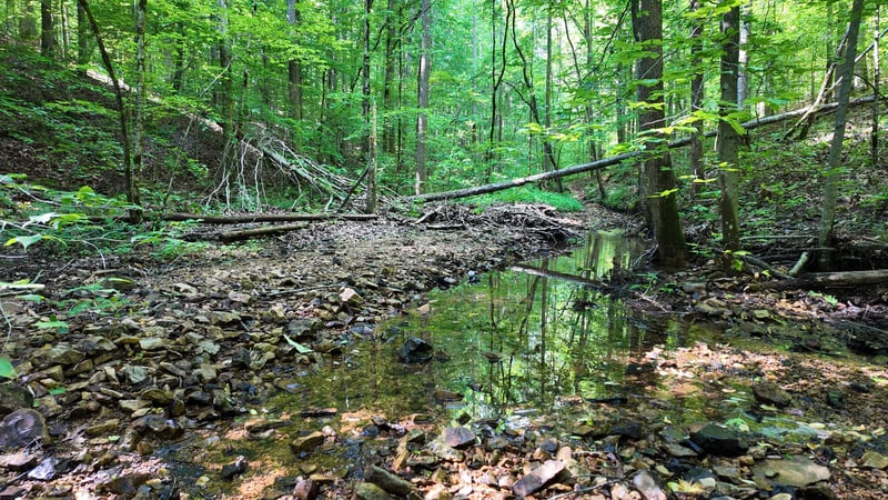 7822 Barnhill Rd, Primm Springs, TN 38476