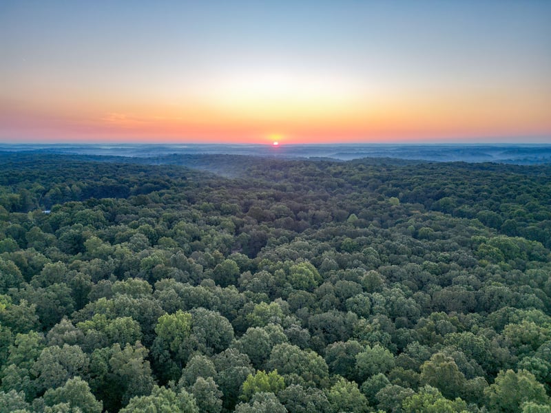 1 Ccc Rd, Fairview, TN 37062