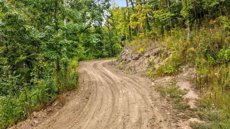 2480 Claylick Rd, Whites Creek, TN 37189