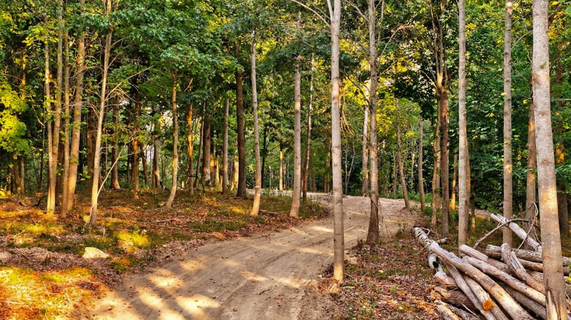 2480 Claylick Rd, Whites Creek, TN 37189