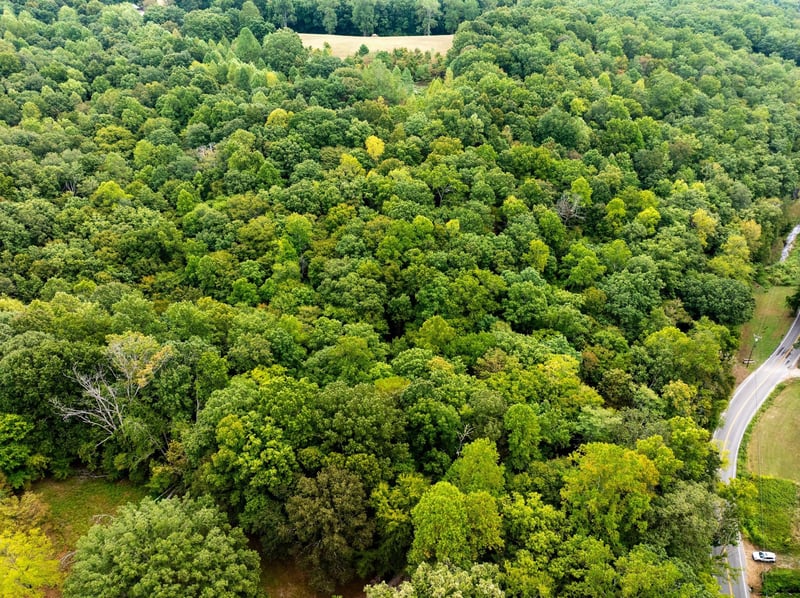 0 Old Hwy 96, Franklin, TN 37064