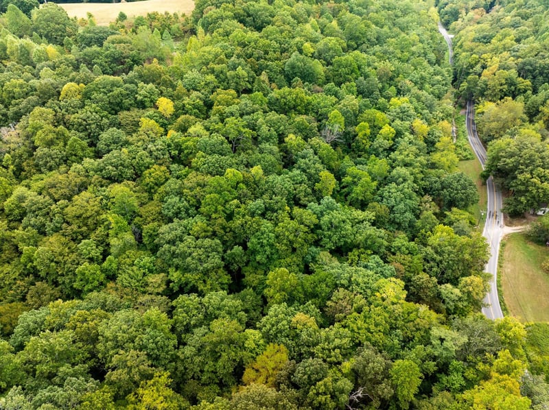 0 Old Hwy 96, Franklin, TN 37064