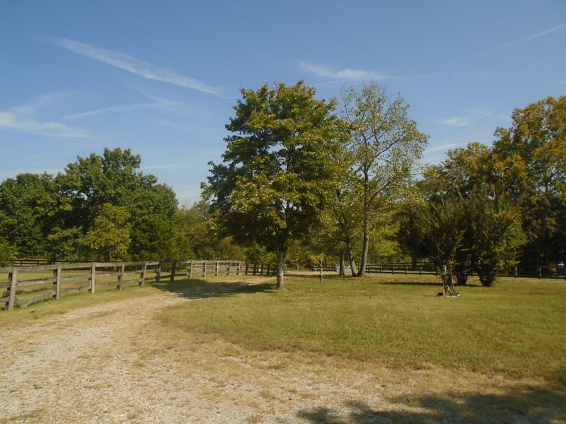 3051 Jim Warren Rd, Spring Hill, TN 37174