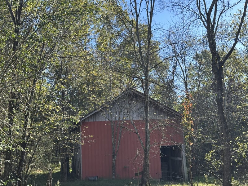 8633 Webb Rd, College Grove, TN 37046