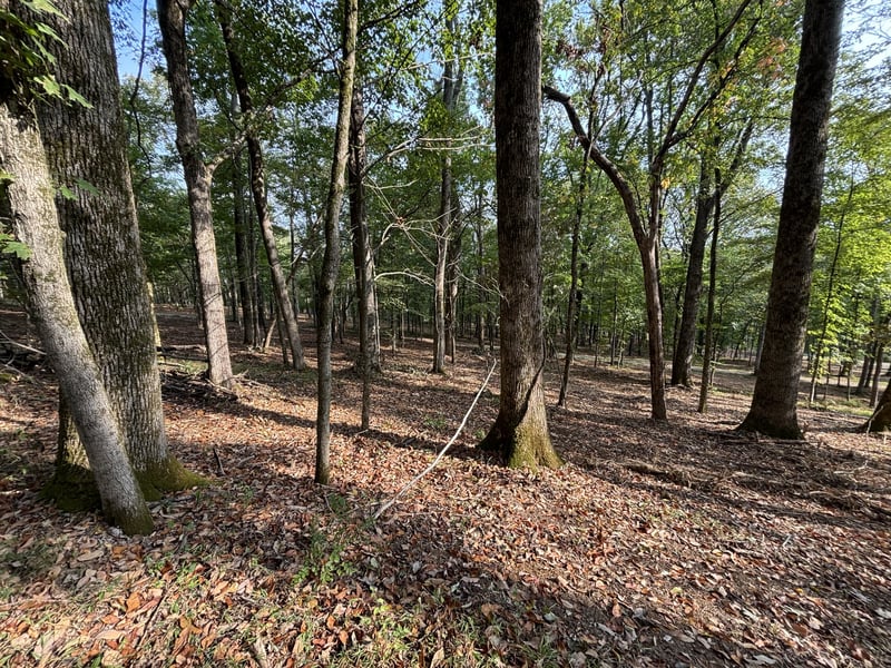 2183 Hwy 25 , Gallatin, TN 37066