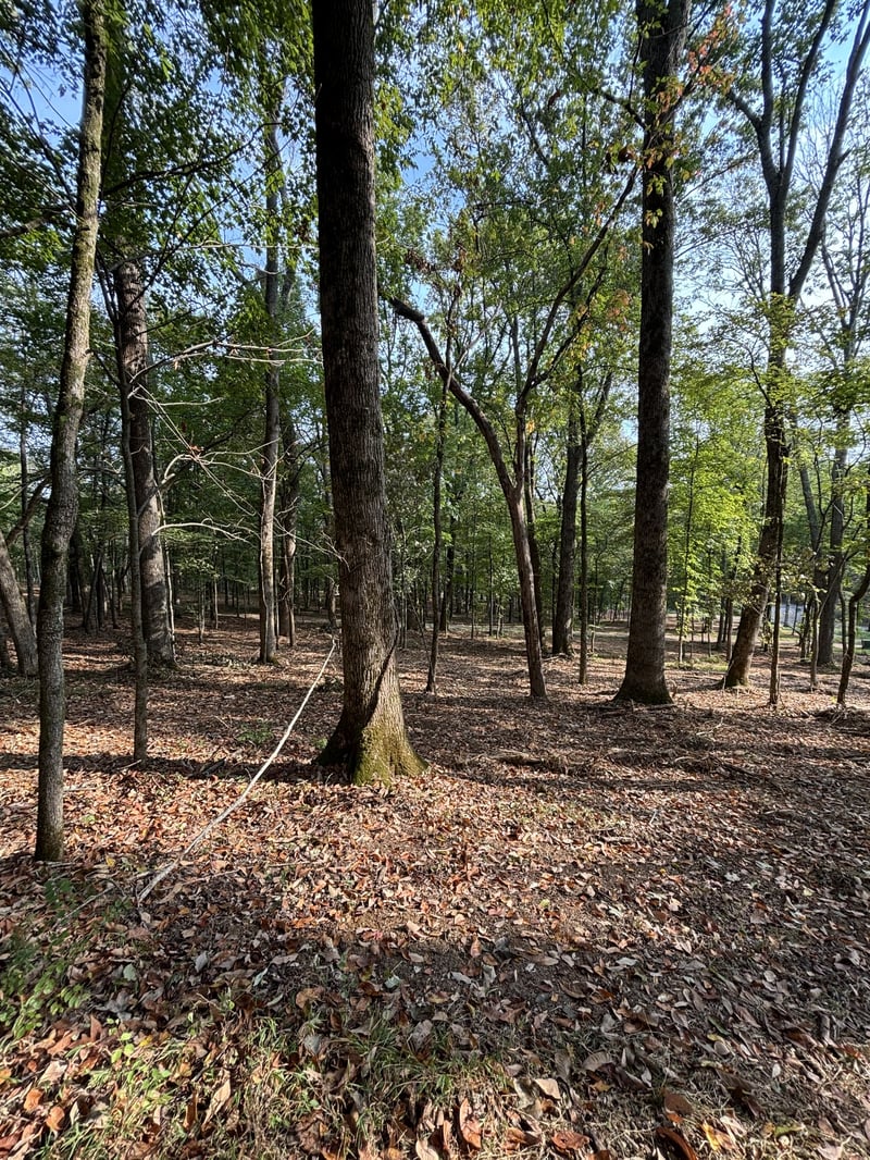 2183 Hwy 25 , Gallatin, TN 37066