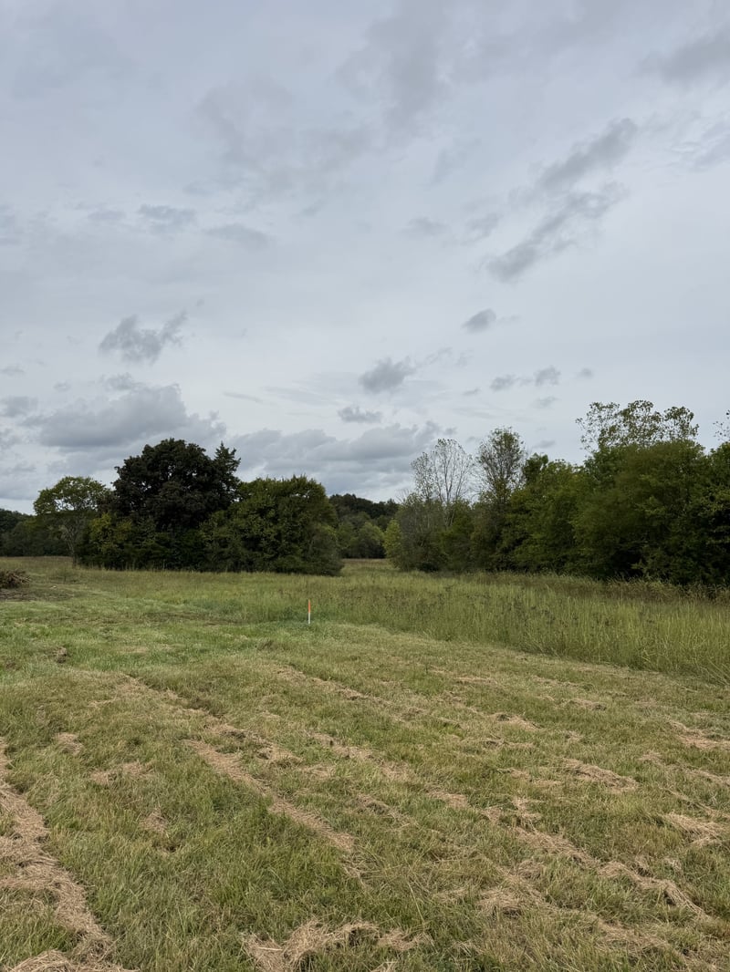 9245 Trousdale Ferry Pike, Lebanon, TN 37087