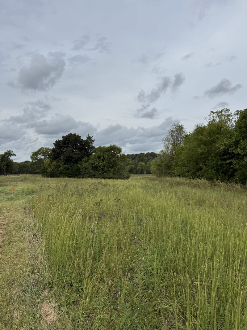 9245 Trousdale Ferry Pike, Lebanon, TN 37087