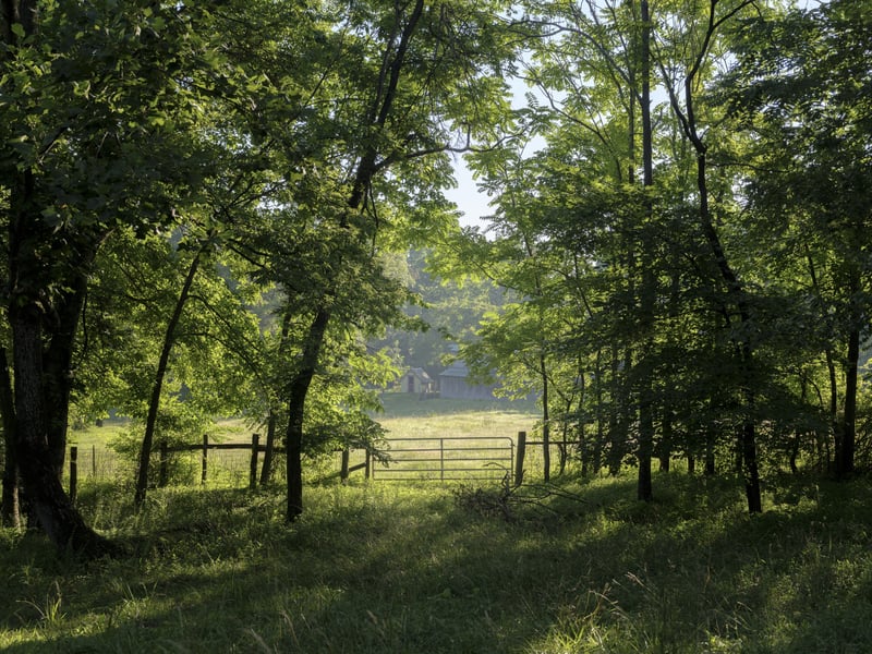 7725 Caney Fork Rd, Fairview, TN 37062