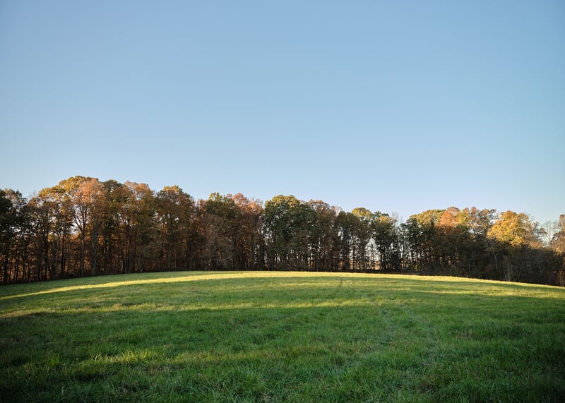 7725 Caney Fork Rd, Fairview, TN 37062